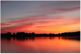 Support your local lake conservation association.